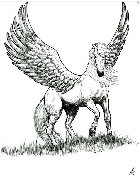 Pegasus : r/drawing