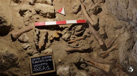 Neanderthal Dalla Grotta Guattari Al Circeo Nuove Incredibili Scoperte