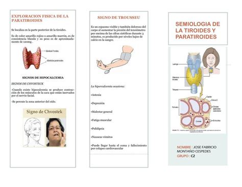 Semiolog A De La Tiroides Y Paratiroides Jos Fabricio Monta O