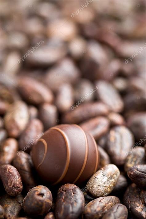 Шоколад пралине и какао-бобы стоковое фото ©jirkaejc 95570296