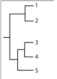 Exam 1 Practice Qs Flashcards Quizlet