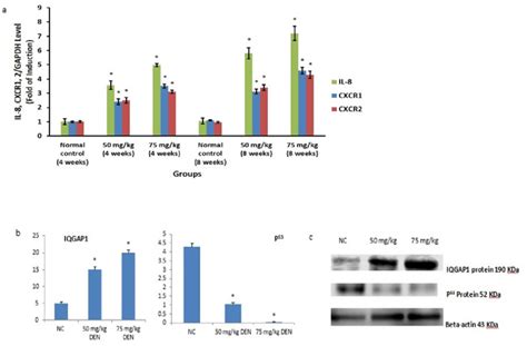 Figur 4 A Den Suppresses Expression Of Il 8 Cxcr1 And Cxcr2 Genes In