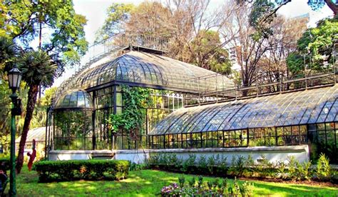 El Jardín Botánico de Madrid en todo su esplendor un paseo por sus