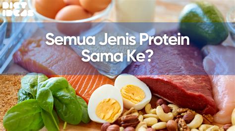 Semua Jenis Protein Sama Ke Diet Ideas