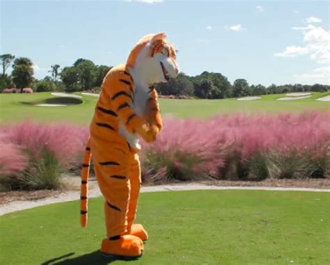 Tiger Woods plays golf with a tiger costume