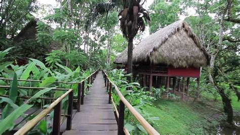 Centro Ecotur Stico Las Guacamayas Turismo Chiapas