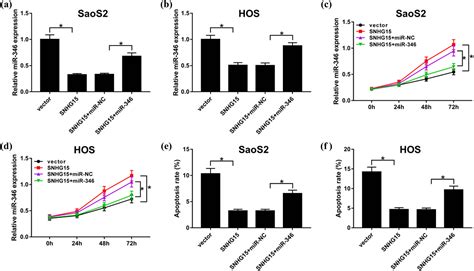 Lncrna Snhg Regulates Osteosarcoma Progression In Vitro And In Vivo