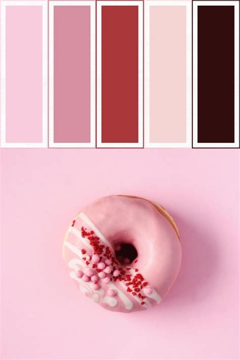 Donut Chart Color Palette