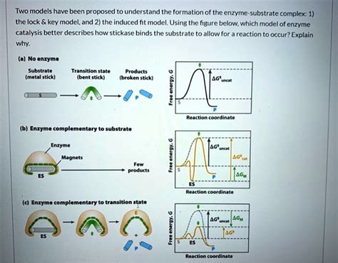 solved  models   proposed  understand  formation