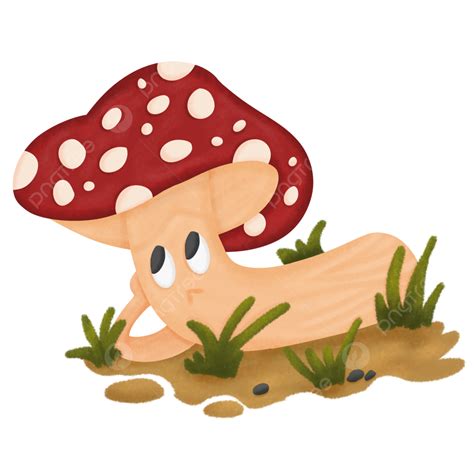 Cute Mushroom Illustration With Transparent Background Mushrooms Cute