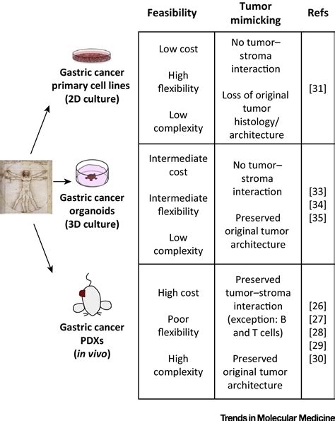 How Can Gastric Cancer Molecular Profiling Guide Future Therapies Trends In Molecular Medicine