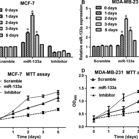 R 133a Suppressed Cell Proliferation The Mcf 7 And Mda Mb 231 Cells