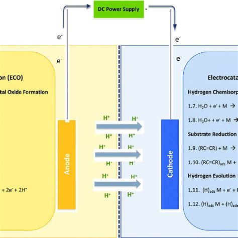 Mechanism Of Electrocatalytic Hydrogenation And Electrocatalytic