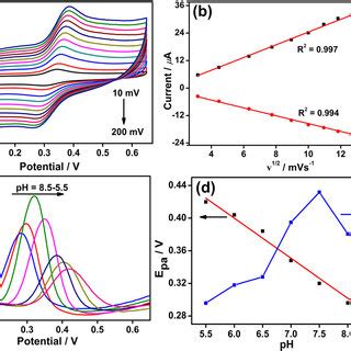 A Cv Curves Of Fe O Cnts Gce In M Pbs Ph Containing