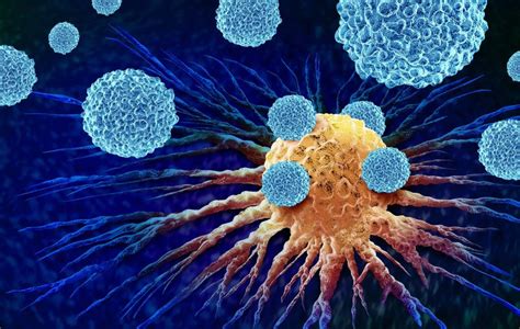 Engineering Other Cells Of The Immune System Drug Discovery News