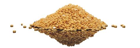 Italwax Film Wax Full Body Wax - Wax Discounter EN