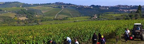 Villa Le Barone Panzano In Chianti Star Hotel Near Florence Tuscany