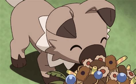 Rockruff🐾 Wiki •pokémon• En Español Amino