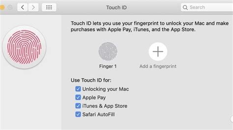 C Mo Desactivar El Touch Id O Huella De Whatsapp