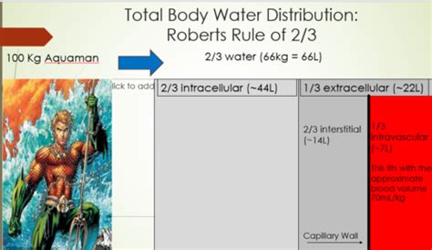 Body Fluids Flashcards Quizlet