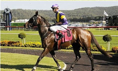 Picture of Belrose winning at Gosford Races | Racing, Filly, Horses