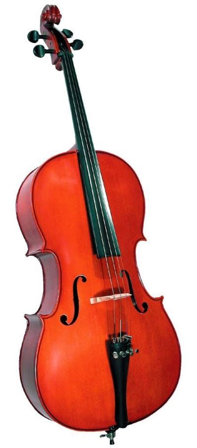 Best Cello Brands & Models 2023 Review - Cello Central