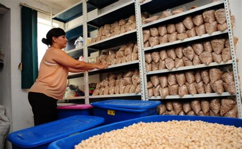 12 Mil Despensas En El Año Es La Meta Del Banco De Alimentos