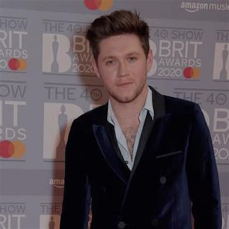 Niall Horan Le Dice No A Un Reencuentro De One Direction E Online