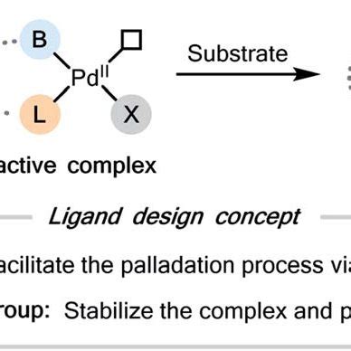 Scheme Understanding The Origin Of Regioselectivity In The Model