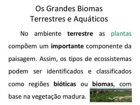 Os Grandes Biomas Terrestres E Aquáticos