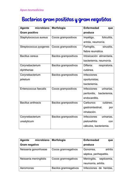 Bacterias Gram Positivas Y Gram Negativas Apuntesmedicina Udocz