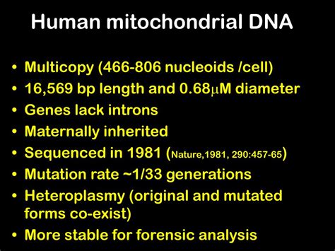 Ppt Mitochondrial Genome Powerpoint Presentation Free Download Id