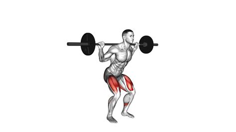 Barbell Quarter Squat Ultimate Guide And Tips Video