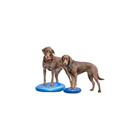 Fitpaws Balance Disc Dog Order