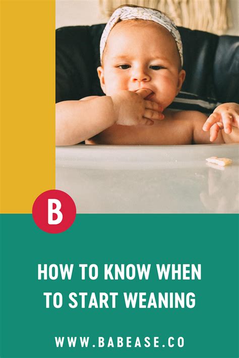 Weaning stages explained – Artofit