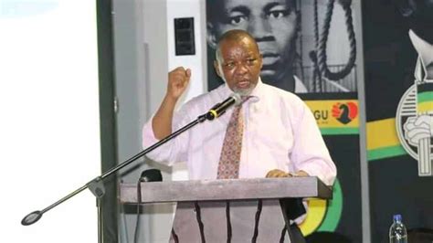 ANC going through a tough time, Gwede Mantashe tells delegates at ANC Amathole conference