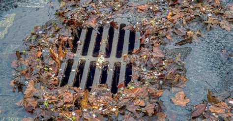 The Benefits Of Storm Drain Cleaning Americlean Pumping Inc