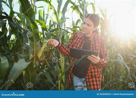 Smart Woman Farmer Agronomist Using Digital Tablet For Examining And