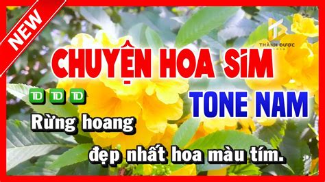 Karaoke CHUYỆN HOA SIM Tone NAM Nhạc Sống 2023 Beat Chuẩn Karaoke