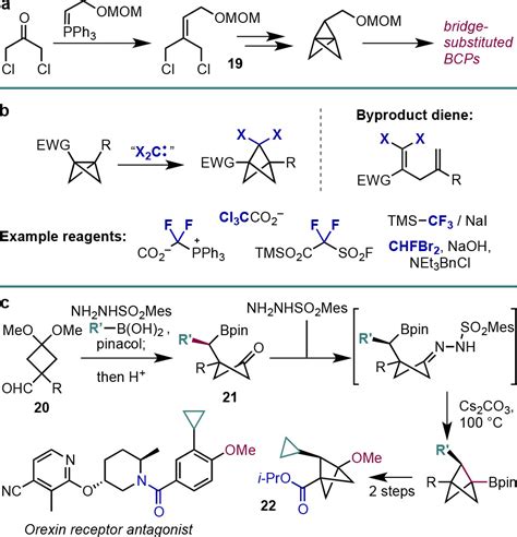 Conquering The Synthesis And Functionalization Of Bicyclo