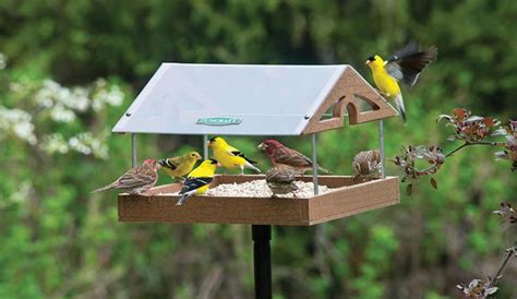 Platform Bird Feeder With Roof