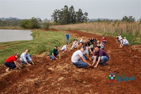 Plantio de Mudas Nativas em União da Vitória marcam o Dia da Árvore em