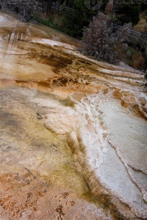 Vista De Mamut Aguas Termales En El Parque Nacional De Yellowstone