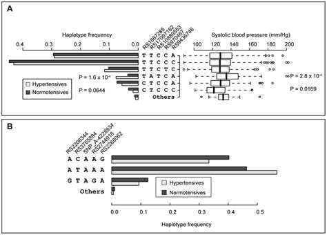 Effects Of Individual Haplotypes Of Leptin Receptor Lepr And