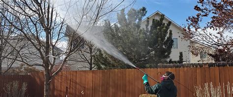 Tree And Shrub Care Services Grand Junction Fruita And Palisade Co Mesa Turf Masters