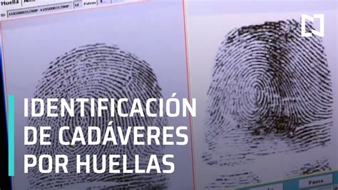 Identificación De Cadáveres Por Huellas Dactilares En Punto Youtube