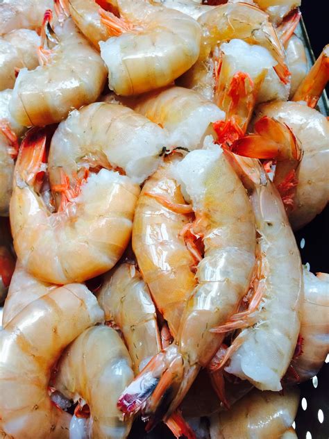 The Edible Ocean: Shrimp Issues Present Big Prices