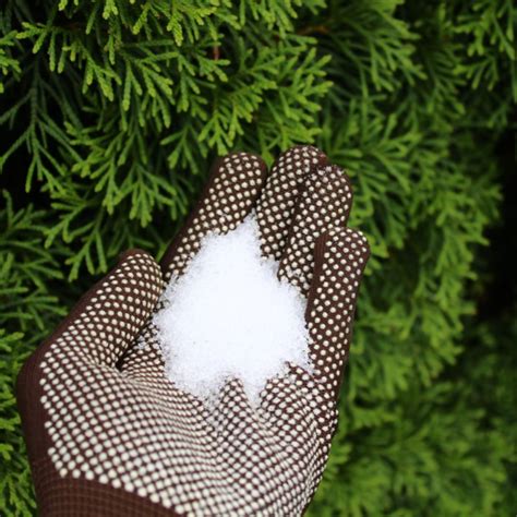 How to Effectively Use Epsom Salt for Your Plants: A Comprehensive Guide