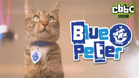 CBBC: Blue Peter Badge - Get Yours! | Blue peter, Badge, Blue