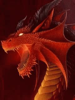 Dragon GIF - Dragon - Discover & Share GIFs